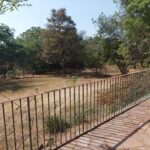 Stand For Sale In Carrick Creagh, Borrowdale.