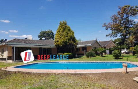 Neat Mt Pleasant House To Let For Commercial