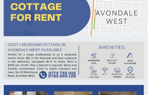 Avondale West: 1 Bedroomed Cottage To Share