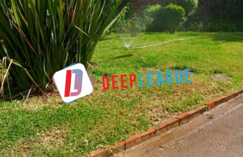 Pomona, Borrowdale: 4 Bedroomed House To Let