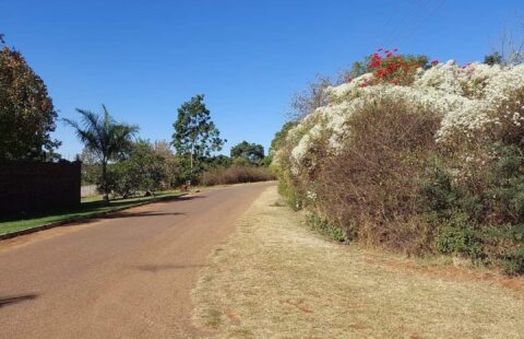 Quinnington 1ha for Sale