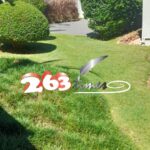 Brookview, Borrowdale: Very Neat 2 Bedroomed Guest-Suite